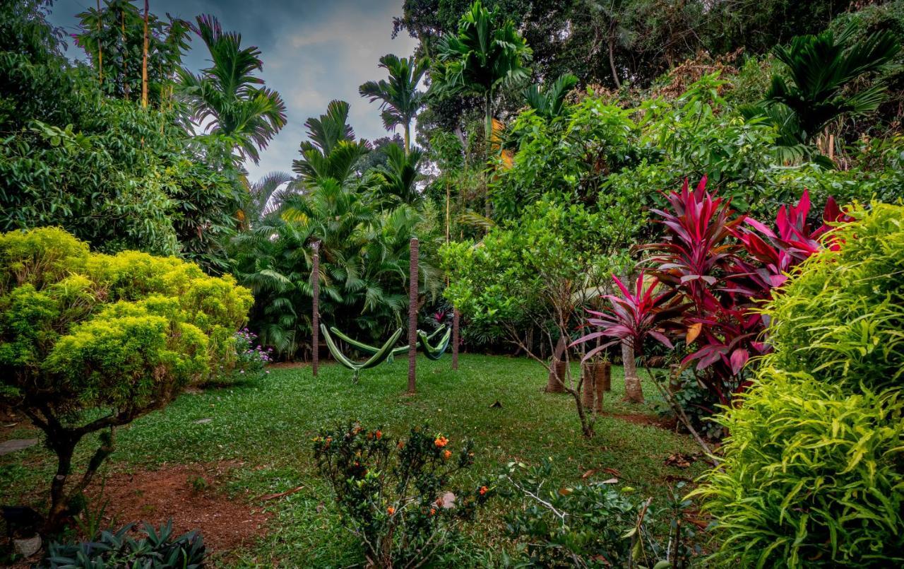 Your Dream Home - Mirissa Buitenkant foto