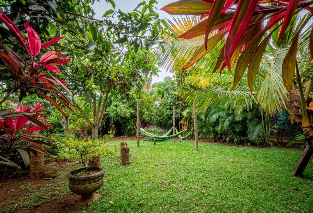 Your Dream Home - Mirissa Buitenkant foto