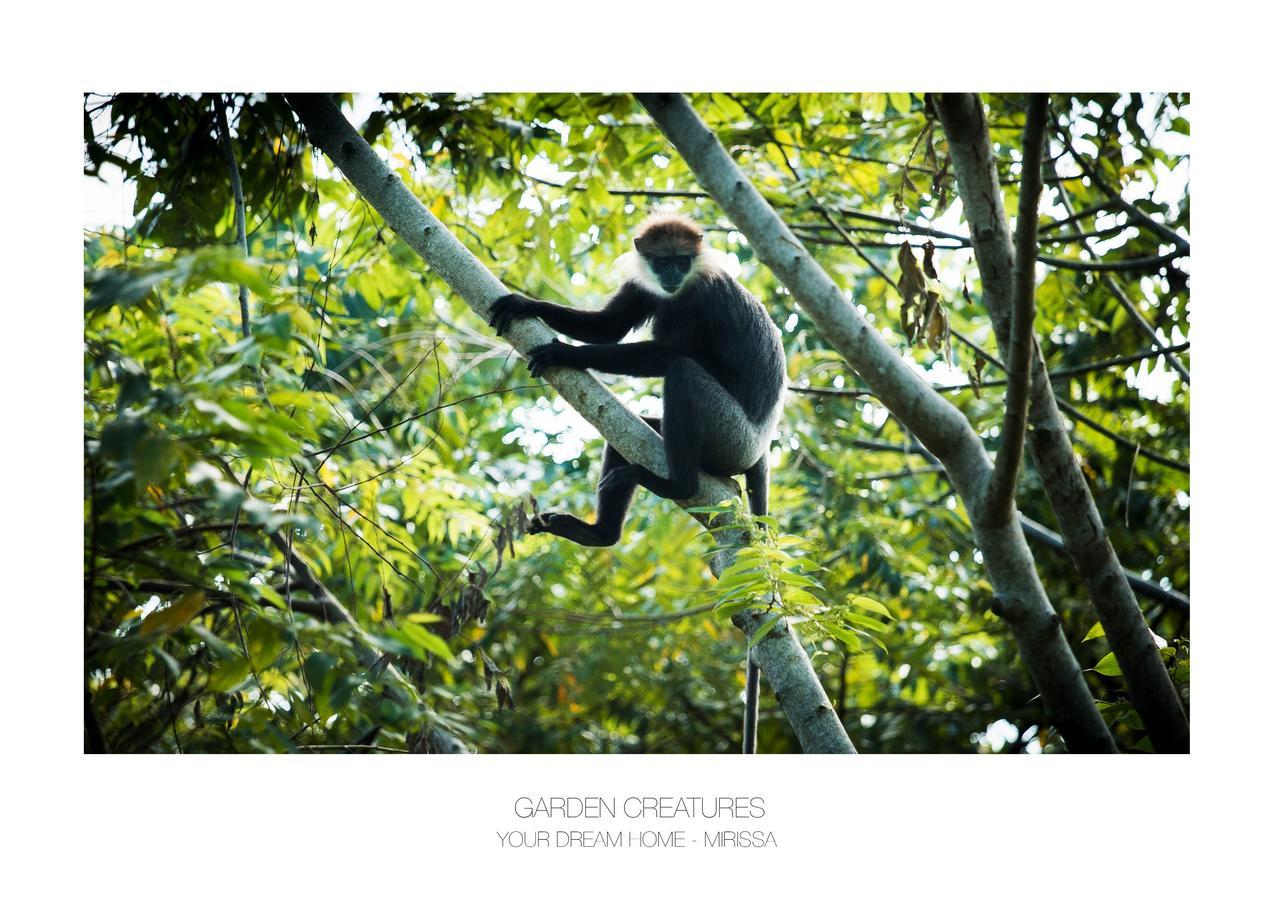 Your Dream Home - Mirissa Buitenkant foto
